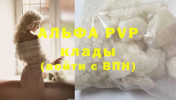 дмт Ельня