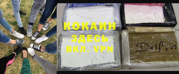 крисы Елизово