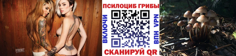 Псилоцибиновые грибы мицелий  Чекалин 