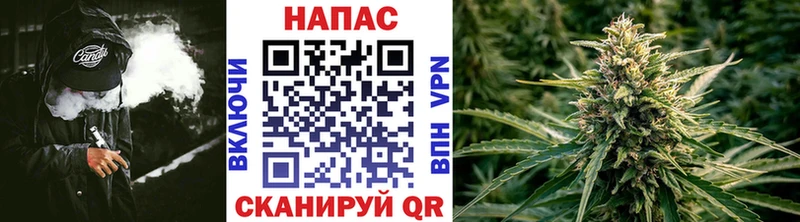 Шишки марихуана THC 21%  Чекалин 